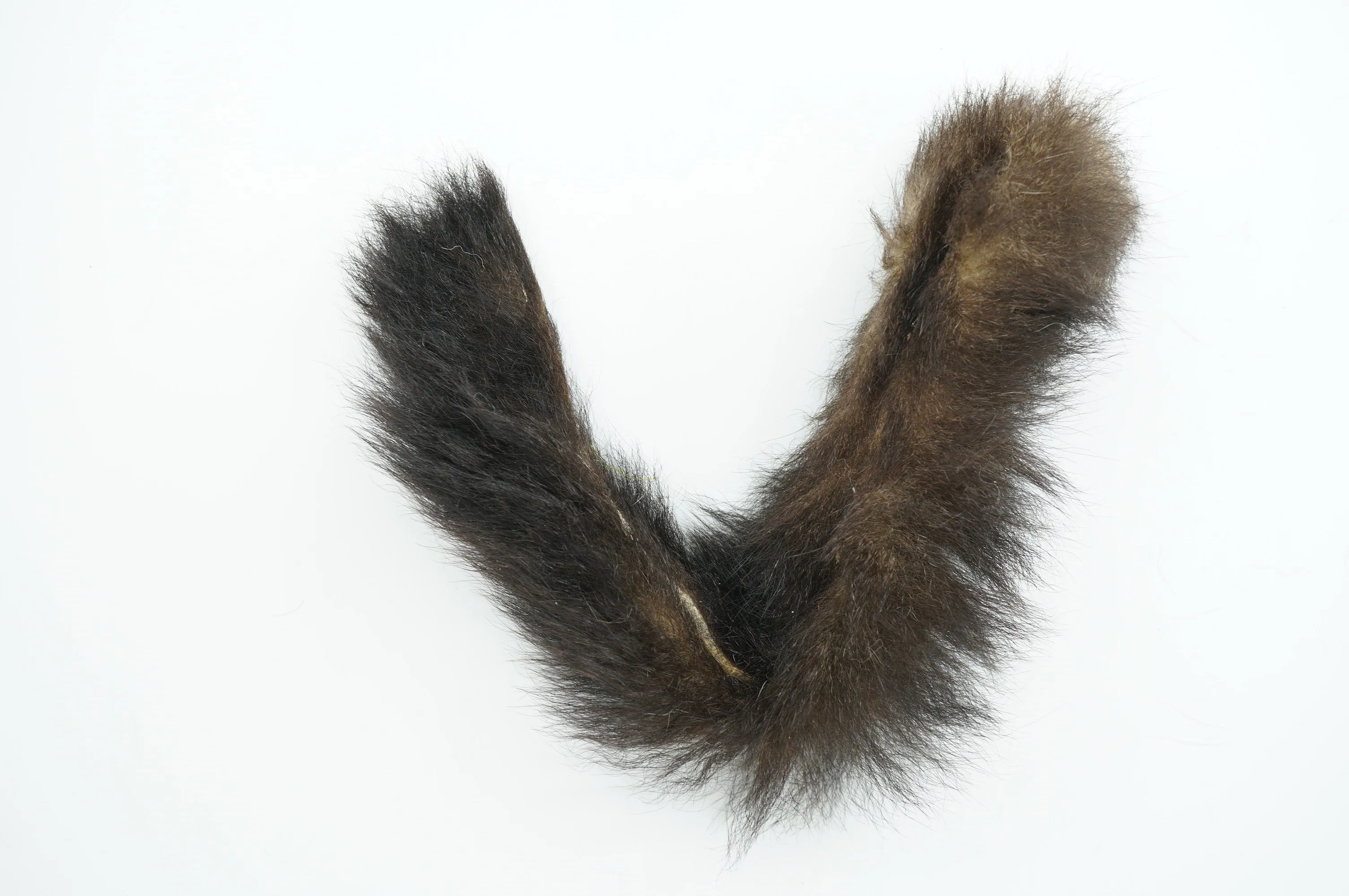 Tiewell Possum Tail Full